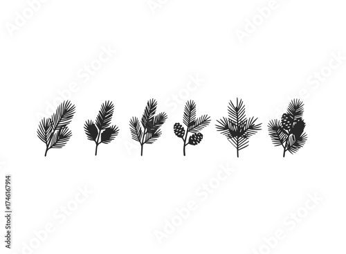 Assortment of pine branches and needles