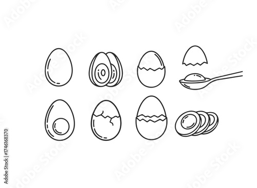 Set of boiled egg illustrations