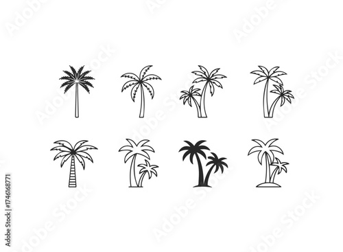 Group of stylized palm tree icons and illustrations