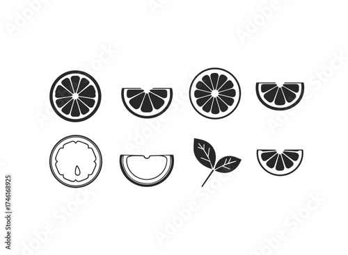 Set of citrus slices and leaves