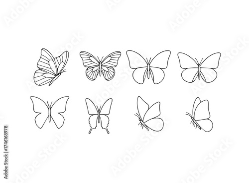 Collection of eight butterfly line drawings