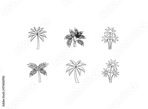 Set of six different palm tree illustrations