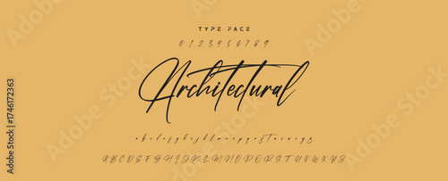 Elegant Script Font Alphabet Typography. Signature Font Calligraphy Logotype Script Brush Font Type Font lettering handwritten