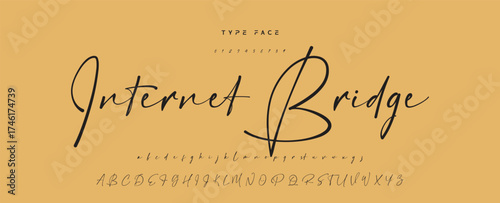 Hand drawn vector alphabet. Modern monoline signature script font. Elegant Signature Font. Best Alphabet Beautiful Calligraphy Signature Font