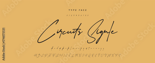 Hand drawn vector alphabet. Modern monoline signature script font. Elegant Signature Font. Best Alphabet Beautiful Calligraphy Signature Font