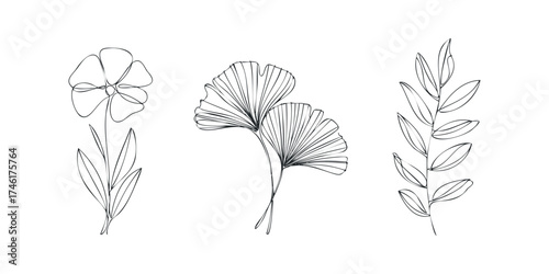 Minimalist line art of a flower, ginkgo leaves, and foliage