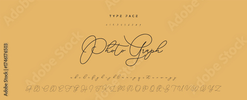 Hand drawn vector alphabet. Modern monoline signature script font. Elegant Signature Font. Best Alphabet Beautiful Calligraphy Signature Font