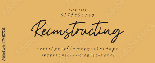 Hand drawn vector alphabet. Modern monoline signature script font. Elegant Signature Font. Best Alphabet Beautiful Calligraphy Signature Font