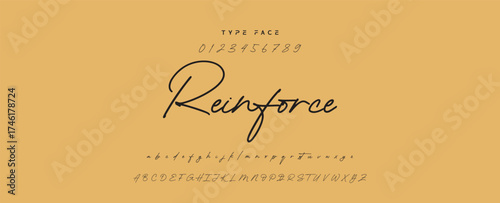 Hand drawn vector alphabet. Modern monoline signature script font. Elegant Signature Font. Best Alphabet Beautiful Calligraphy Signature Font