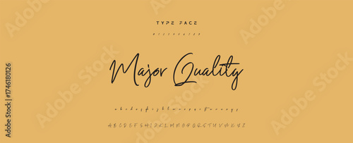 Handwritten Font Calligraphy Logotype Script Font Type Font lettering handwritten, Illustration vector, for design