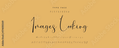 Handwritten Font Calligraphy Logotype Script Font Type Font lettering handwritten, Illustration vector, for design