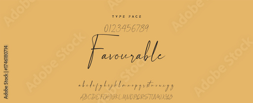 Handwritten Font Calligraphy Logotype Script Font Type Font lettering handwritten, Illustration vector, for design