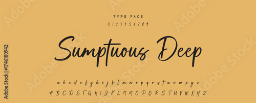 Handwritten Font Calligraphy Logotype Script Font Type Font lettering handwritten, Illustration vector, for design