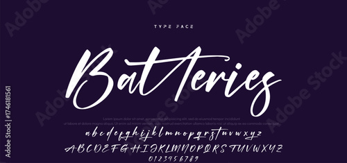 Handwritten Font Calligraphy Logotype Script Font Type Font lettering handwritten, Illustration vector, for design