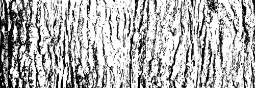 Tree bark texture