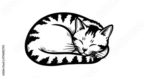 Black and White Illustration of a Sleeping Striped Cat