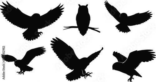 Owl silhouettes flying and perched, nocturnal bird shapes, wildlife illustration, raptor wings spread, predator symbol, nature design, black vector art