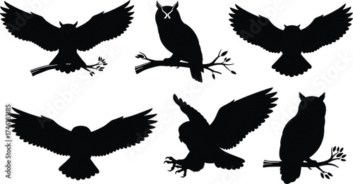 Owl silhouettes, flying owl, perched owl, nocturnal bird, wildlife illustration, black silhouette, forest branch, raptor, nature, design element