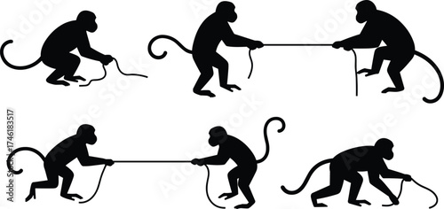 Monkey silhouettes playing with ropes, tug of war, animal teamwork, wildlife competition, playful primates, jungle behavior, black vector illustration