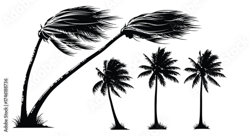 Vector illustration of palm trees bending in strong wind