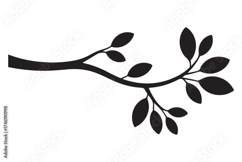 Nature plant branch silhouette icon with small leaves simple botanical illustration
