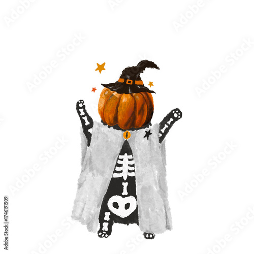 Halloween Kitty