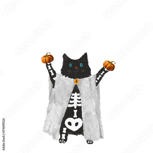 Halloween Kitty