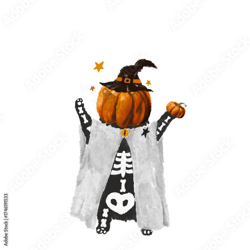 Halloween Kitty