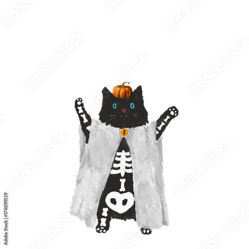 Halloween Kitty