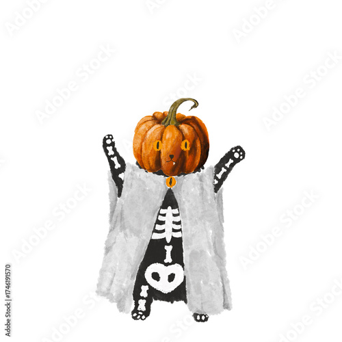 Halloween Kitty