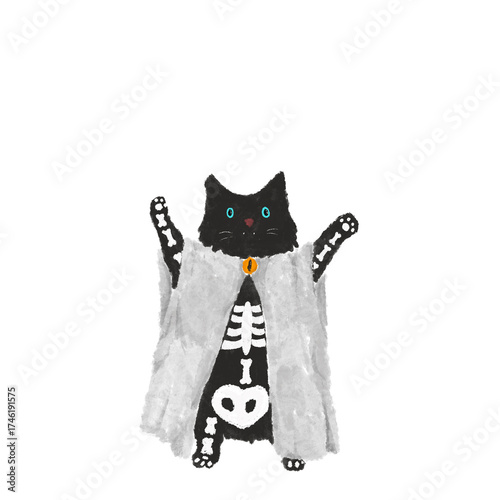 Halloween Kitty