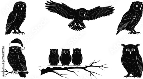 Owl silhouette set, black and white bird illustrations, festive perched owl graphics, seasonal wildlife artwork, nature and holiday design collection