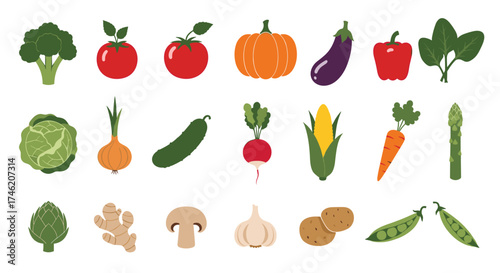 A vibrant collection of fresh healthy vegetables suitable for healthy eating and cooking.
