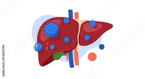 Understanding how viral infections can affect liver health and function in the body.