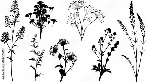 Elegant floral silhouettes for botanical designs and natural branding, perfect for stationery, invitations, and artistic projects bringing a touch of nature