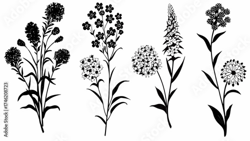 Elegant floral silhouettes enhance your branding, weddings, and invitations, perfect for adding a touch of nature-inspired beauty to every design project
