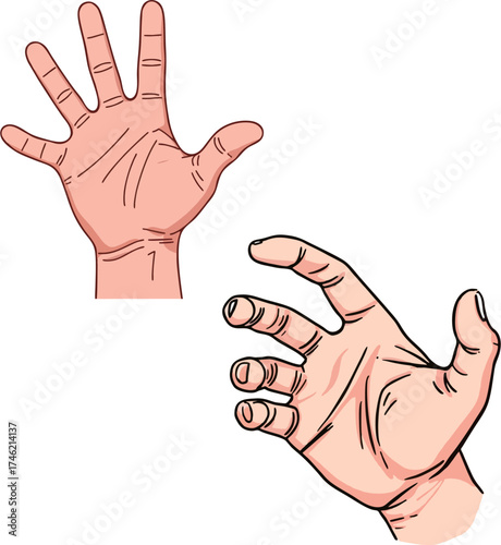 A vector of hand gesture drawing 