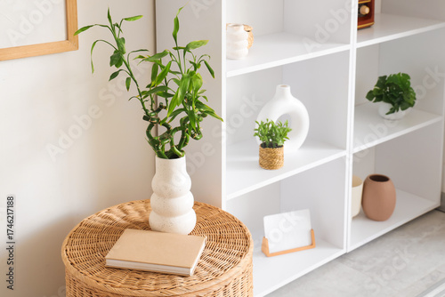 Vase with bamboo stems and ...