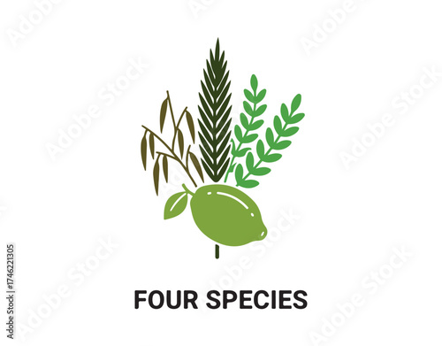 Four species represented as a black glyph icon. A Jewish holiday. Etrog, lulav, hadas, and arava. The week-long festival of Sukkot. Holds symbolic significance. Vector illustration isolated.