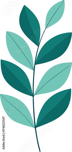 Eucalyptus leaves