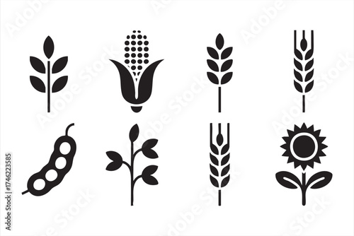 Farm crop icon set for organic food, eco farming, and agriculture design