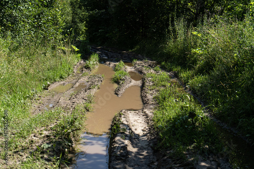 Washed out road after rain in the forest