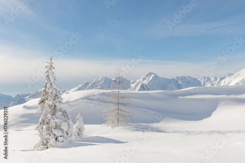 Mountain landscape after big snowfall