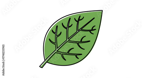 Green Leaf Illustration with Veins.