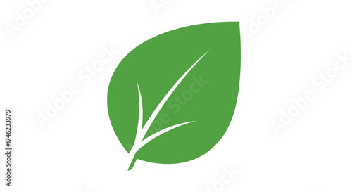 Minimalist Green Leaf Icon Illustration Representing Eco Friendly Sustainability and Natural Organic Growth for Environmental Design Projects