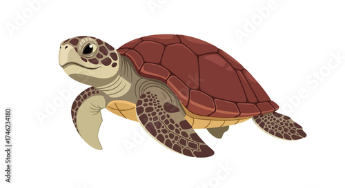 Hand Drawn Illustration of a Sea Turtle Swimming Isolated on White Background