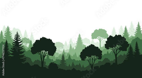 Misty Forest Landscape with Silhouetted Trees.