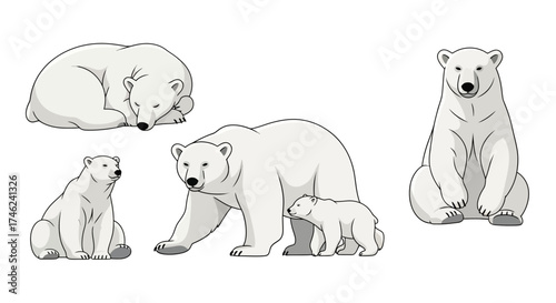 Vector illustration of polar bears in various poses, including sleeping, walking, sitting, and with a cub, white background