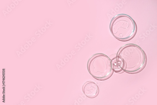 Petri dishes with transparent liquids on pink background