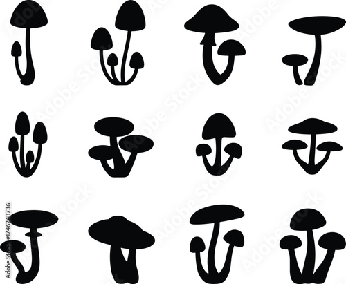 Black mushroom silhouettes, wild fungi icons, edible mushroom shapes, forest fungus design, nature illustration, botanical elements, CAD drawing, flat vector illustration